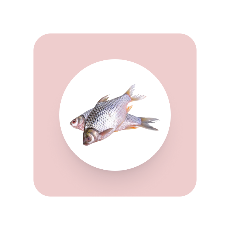 ⦿ Seafood